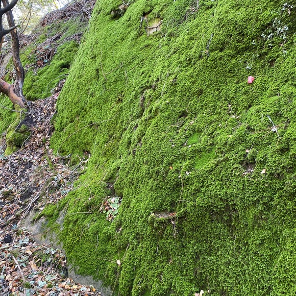 Meet your Posher, Tina - Picture 6 of 6